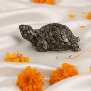 Vastu Pyrite Tortoise
